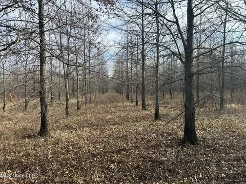 Hwy 278, Marks, MS 38646 photo 31