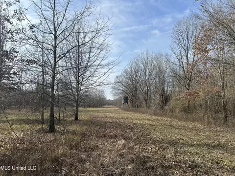 Hwy 278, Marks, MS 38646 photo 29