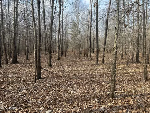 Hwy 278, Marks, MS 38646 photo 15