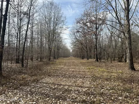 Hwy 278, Marks, MS 38646 photo 16