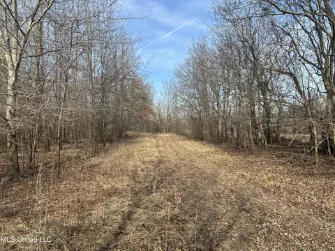 Hwy 278, Marks, MS 38646 photo 28