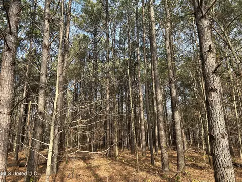 Hwy 278, Marks, MS 38646 photo 39