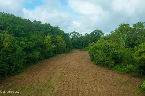 1 St, Flora, MS 39071 photo 7