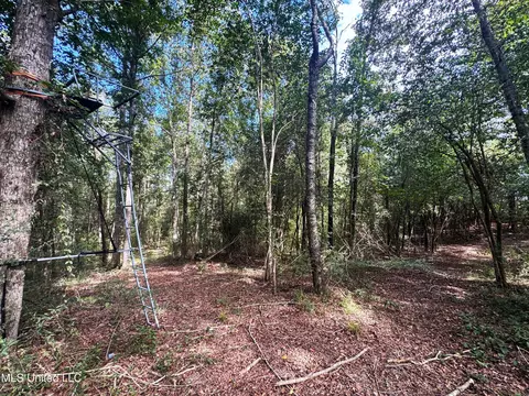 222 Log Cabin Rd, Jayess, MS 39641 photo 51