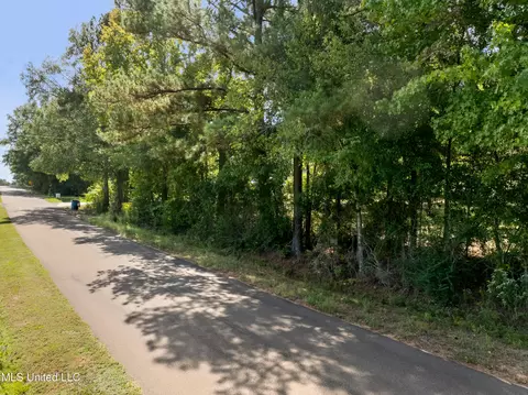 222 Log Cabin Rd, Jayess, MS 39641 photo 42