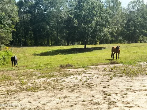 222 Log Cabin Rd, Jayess, MS 39641 photo 54