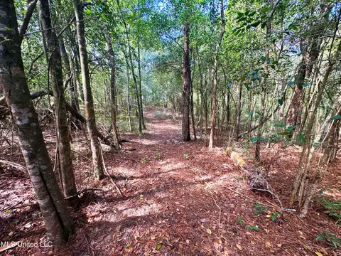 222 Log Cabin Rd, Jayess, MS 39641 photo 49