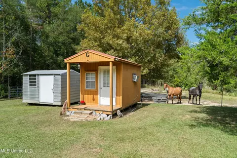 222 Log Cabin Rd, Jayess, MS 39641 photo 37
