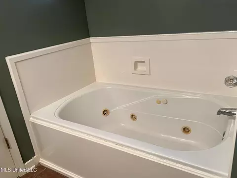 Bath - 414 Oak Bend Bnd, Brandon, MS 39047 photo 3 of 4