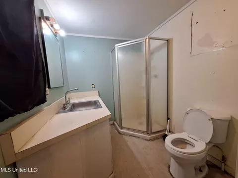 Bath - 105 Ron Batton Dr, Mendenhall, MS 39114 photo 2 of 2