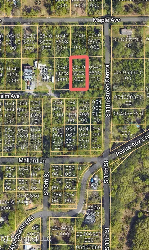 Palm Avenue, Ocean Springs, MS 39564
