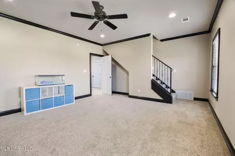 Other - 566 E Shadow View Dr, Hernando, MS 38632 photo 9 of 12