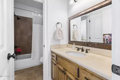 Bath - 566 E Shadow View Dr, Hernando, MS 38632 photo 6 of 6