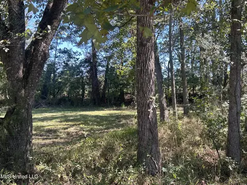 2 Pinehaven Place, Clinton, MS 39056 photo 8