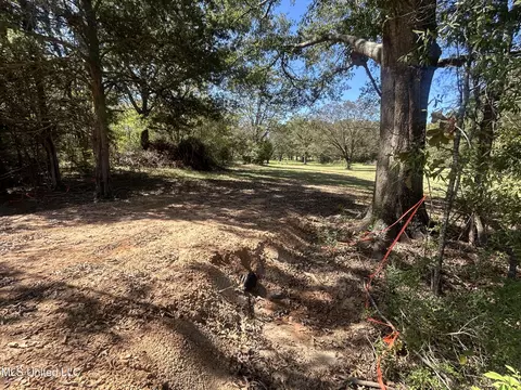 2 Pinehaven Place, Clinton, MS 39056 photo 16