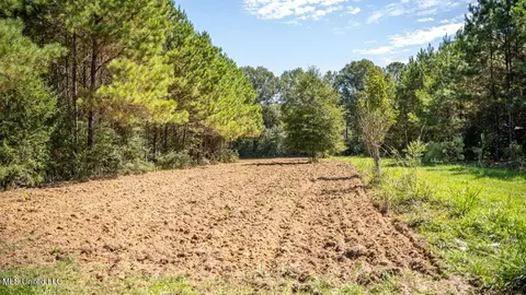5302 E Wicker Rd, Smithdale, MS 39664 photo 19