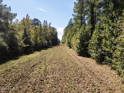 5302 E Wicker Rd, Smithdale, MS 39664 photo 5