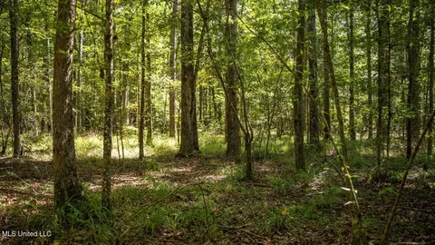 5302 E Wicker Rd, Smithdale, MS 39664 photo 23