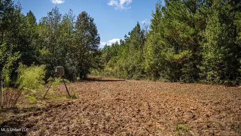5302 E Wicker Rd, Smithdale, MS 39664 photo 37