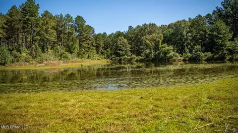 5302 E Wicker Rd, Smithdale, MS 39664 photo 28