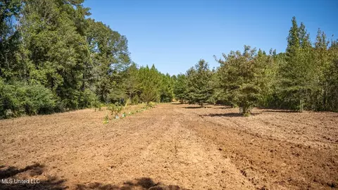 5302 E Wicker Rd, Smithdale, MS 39664 photo 21