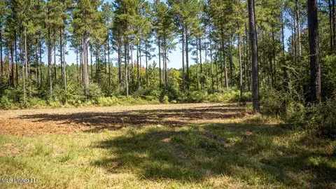 5302 E Wicker Rd, Smithdale, MS 39664 photo 27