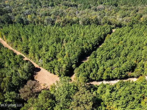 5302 E Wicker Rd, Smithdale, MS 39664 photo 10