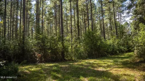 5302 E Wicker Rd, Smithdale, MS 39664 photo 43