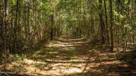 5302 E Wicker Rd, Smithdale, MS 39664 photo 36