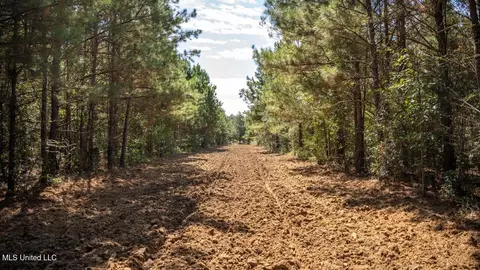 5302 E Wicker Rd, Smithdale, MS 39664 photo 20