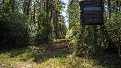 5302 E Wicker Rd, Smithdale, MS 39664 photo 29