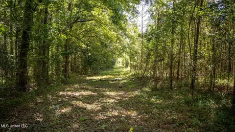 5302 E Wicker Rd, Smithdale, MS 39664 photo 22