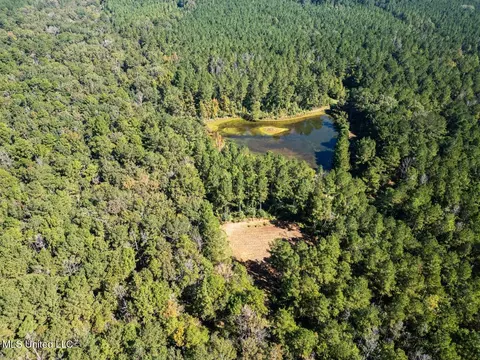 5302 E Wicker Rd, Smithdale, MS 39664 photo 2