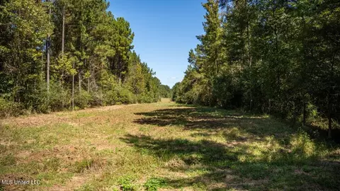5302 E Wicker Rd, Smithdale, MS 39664 photo 32