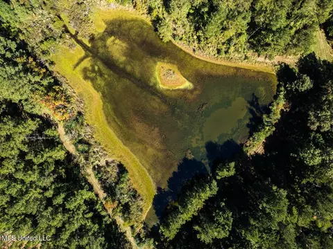 5302 E Wicker Rd, Smithdale, MS 39664 photo 3