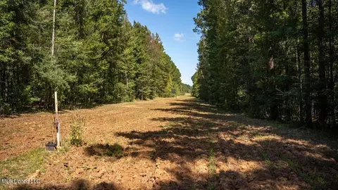 5302 E Wicker Rd, Smithdale, MS 39664 photo 35