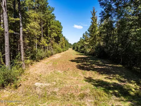 5302 E Wicker Rd, Smithdale, MS 39664 photo 6