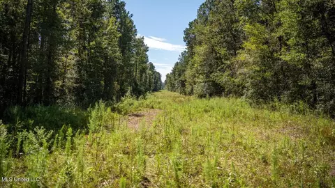 5302 E Wicker Rd, Smithdale, MS 39664 photo 34