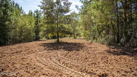 5302 E Wicker Rd, Smithdale, MS 39664 photo 42