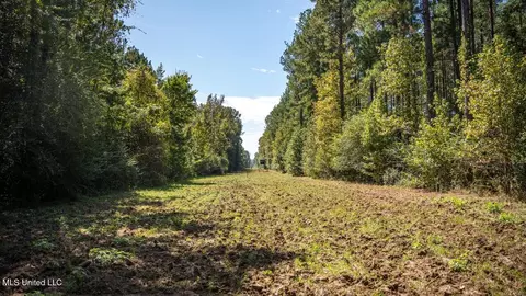 5302 E Wicker Rd, Smithdale, MS 39664 photo 31