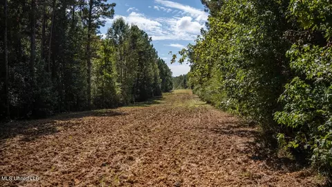 5302 E Wicker Rd, Smithdale, MS 39664 photo 40