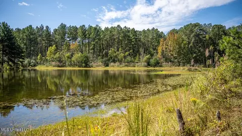 5302 E Wicker Rd, Smithdale, MS 39664 photo 30
