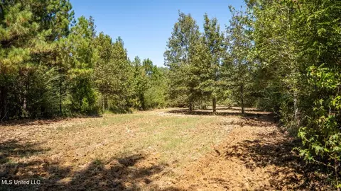 5302 E Wicker Rd, Smithdale, MS 39664 photo 25