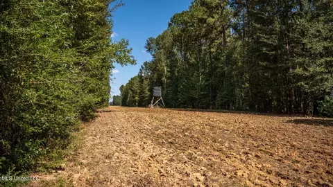5302 E Wicker Rd, Smithdale, MS 39664 photo 39