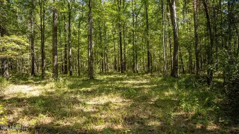 5302 E Wicker Rd, Smithdale, MS 39664 photo 26