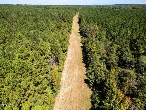 5302 E Wicker Rd, Smithdale, MS 39664 photo 7