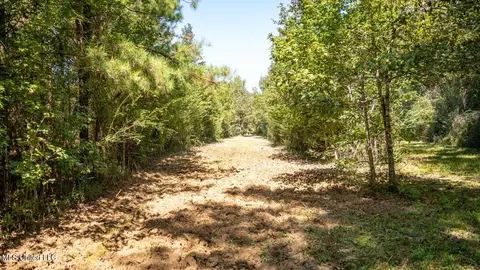 5302 E Wicker Rd, Smithdale, MS 39664 photo 24