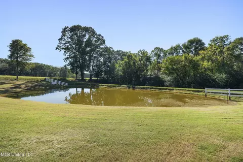 Other - 681 Gaines Rd, Hernando, MS 38632 photo 8 of 17