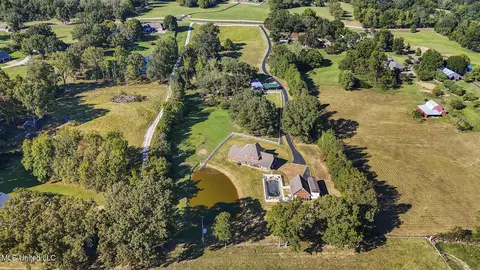 View/Area - 681 Gaines Rd, Hernando, MS 38632 photo 4 of 4