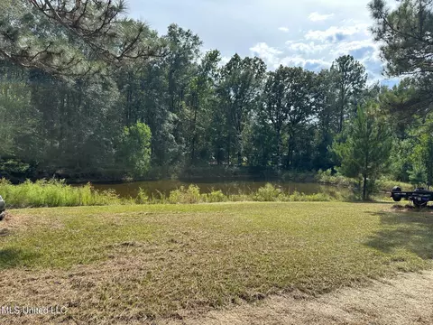 View/Area - 117 Holifield Rd, Laurel, MS 39443 photo 5 of 5